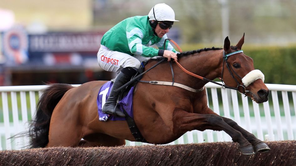 Presenting Percy is brilliant in the RSA Chase