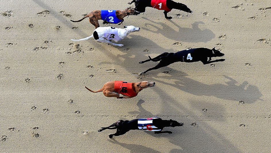An announcement on greyhound racing is expected soon