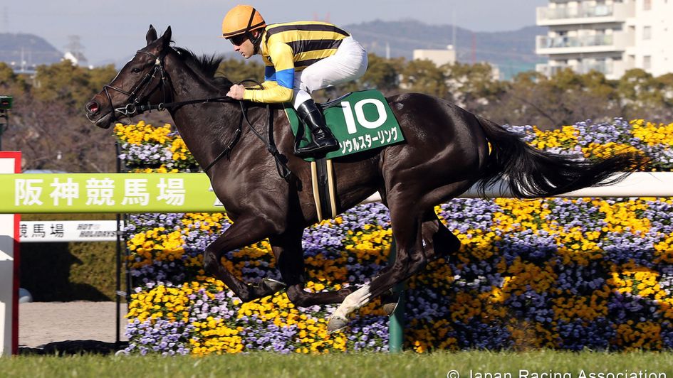 Soul Stirring (pic JRA)