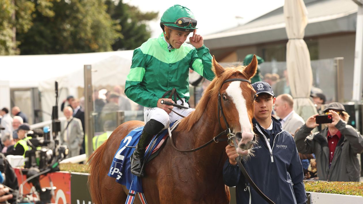 Baby alien queen patrona porn she says she does full