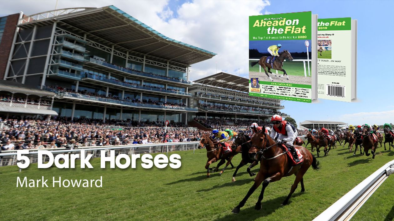 Mark Howard Racining Mark Howard: Five dark horses for 2020