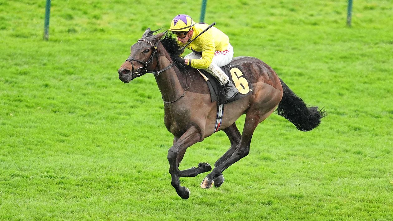スカイベット・エボル・フェスティバルのプレビューとヨーク競馬テレビ解説者マーク・ハワードによるヒント