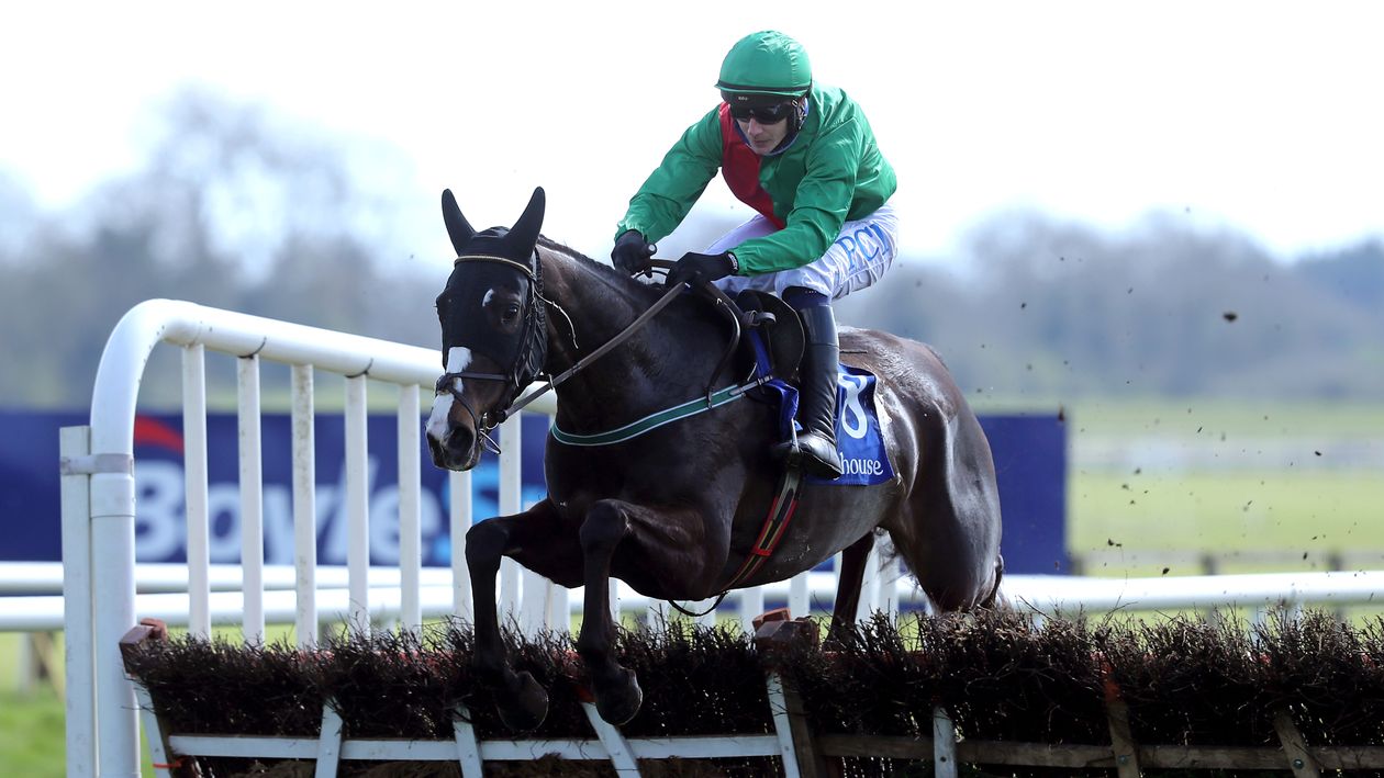 Punchestown Tuesday Preview: Timeform best bets - Vimarsana News