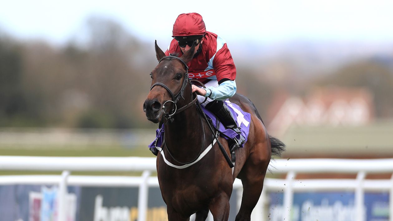 Vintage Clarets - set for National Stakes