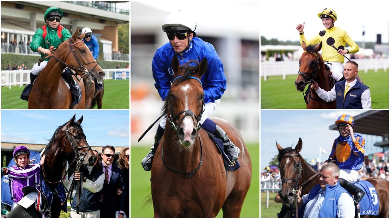 King George, Juddmonte International and Goodwood features set to light up British summer of racing