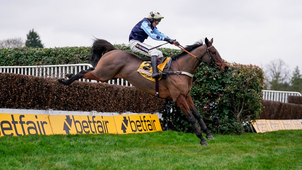 Alan King hails stable star Edwardstone following retirement from racing