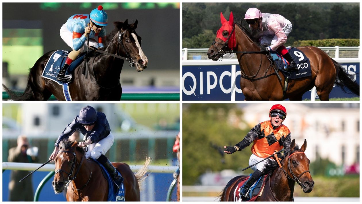 Timeform Awards 2023: How the champions fared on the clock