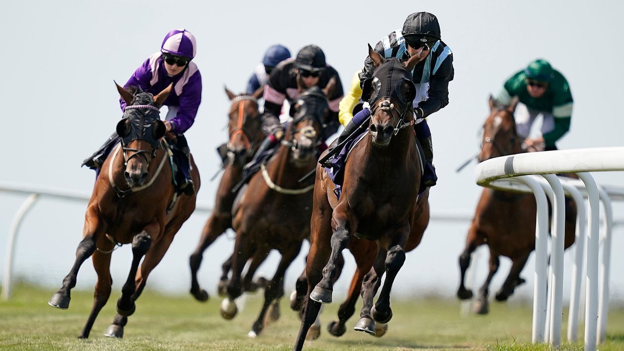 Peter Naughton's Notebook: Eyecatchers and horses to follow from the TV ...