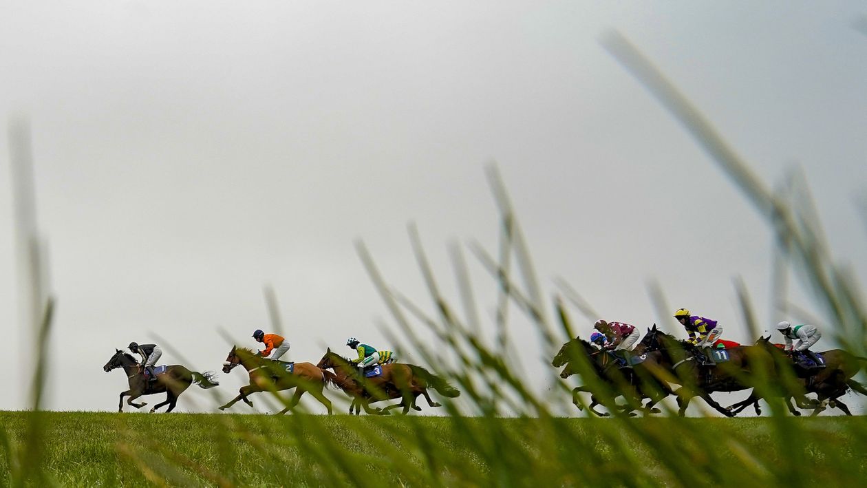 Timeform tips and analysis for Lingfield and Market Rasen on Friday