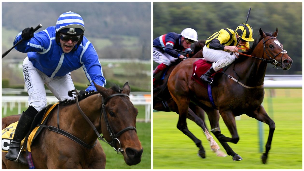 Royal Ascot tips: Outsiders to consider