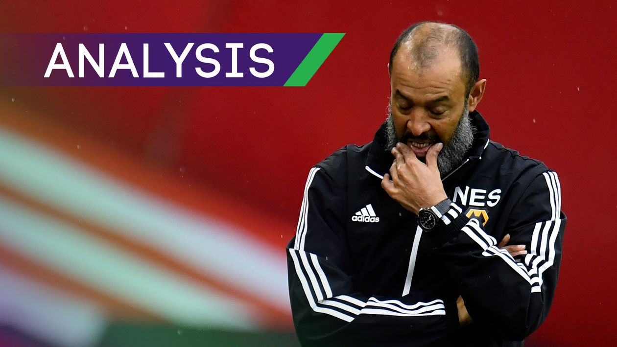 Wolves have struggled in the Premier League this season