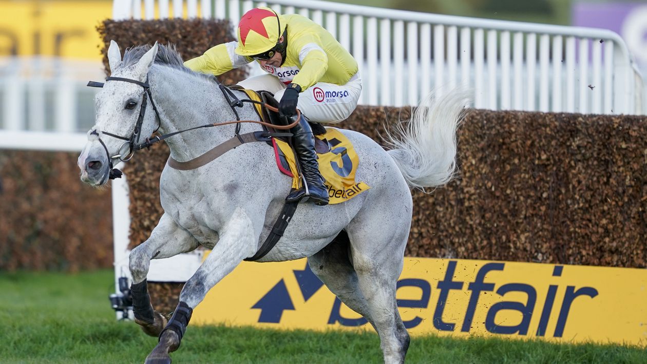 Politologue heads for home in the Betfair Tingle Creek Chase