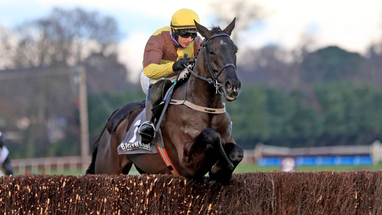 Leopardstown Tuesday review: Galopin Des Champs spectacular winner - Vimarsana News