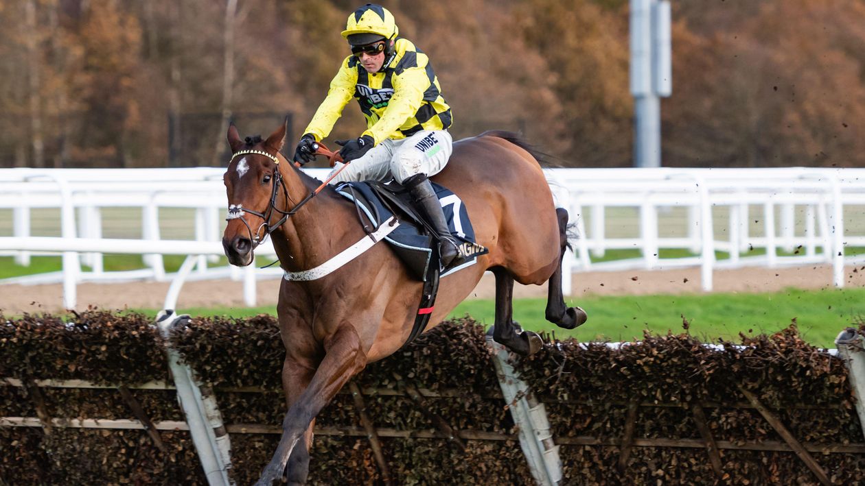 Nicky Henderson and Sir Gino