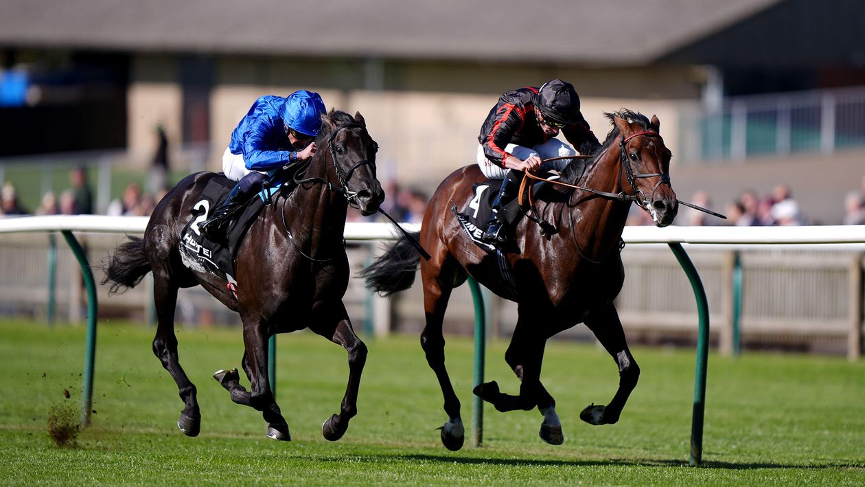 Maltese Cross won the Sky Bet Great Voltigeur Stakes at York | report, reaction and video replay
