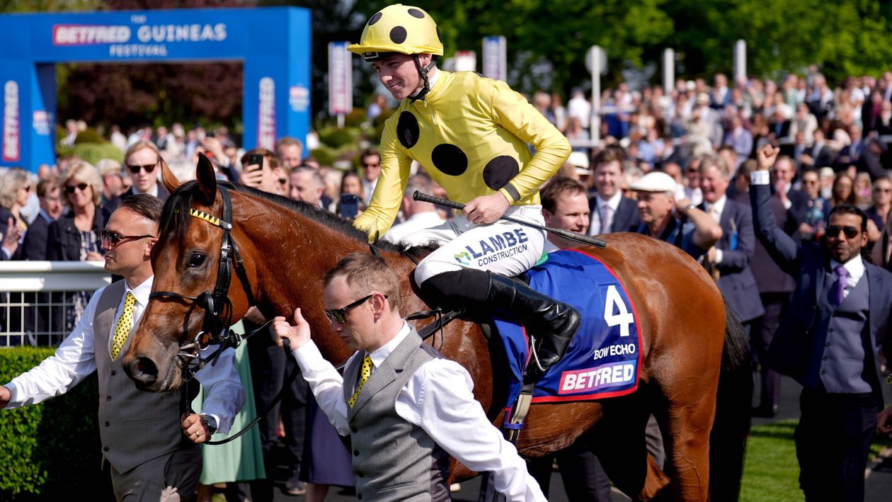 Royal Ascot preview: Bow Echo ready for 'ultimate test' in St James's Palace Stakes