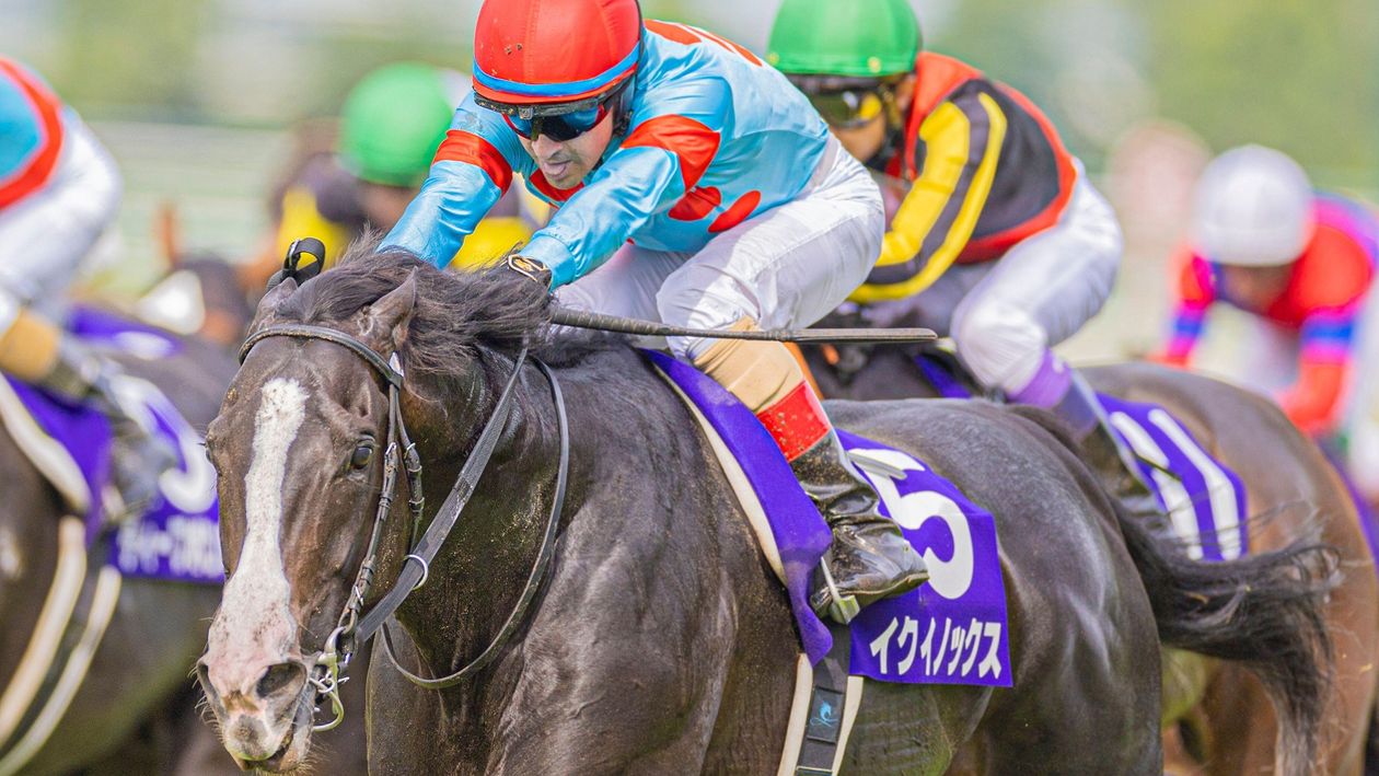 World's highest rated horse Equinox wins 2023 Japan Cup