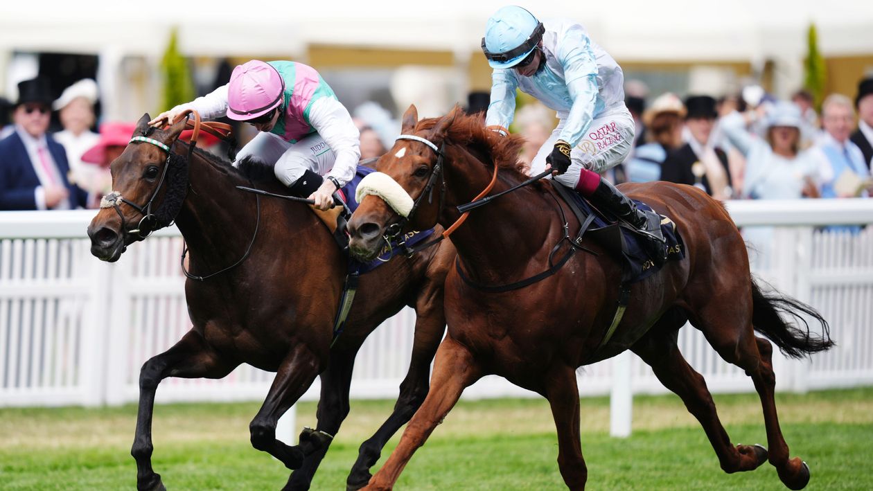 Ascot World Pool preview and tips on King George day
