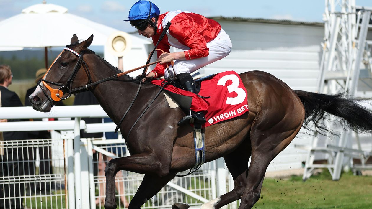 Sir Mark Prescott on options for Martinet, Moon Target and Consent