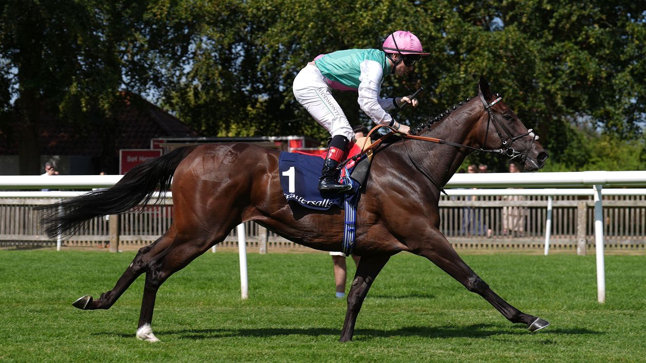 Blue Bolt beats Precise in Falmouth Stakes: Report, reaction, replay & latest Nassau Stakes odds