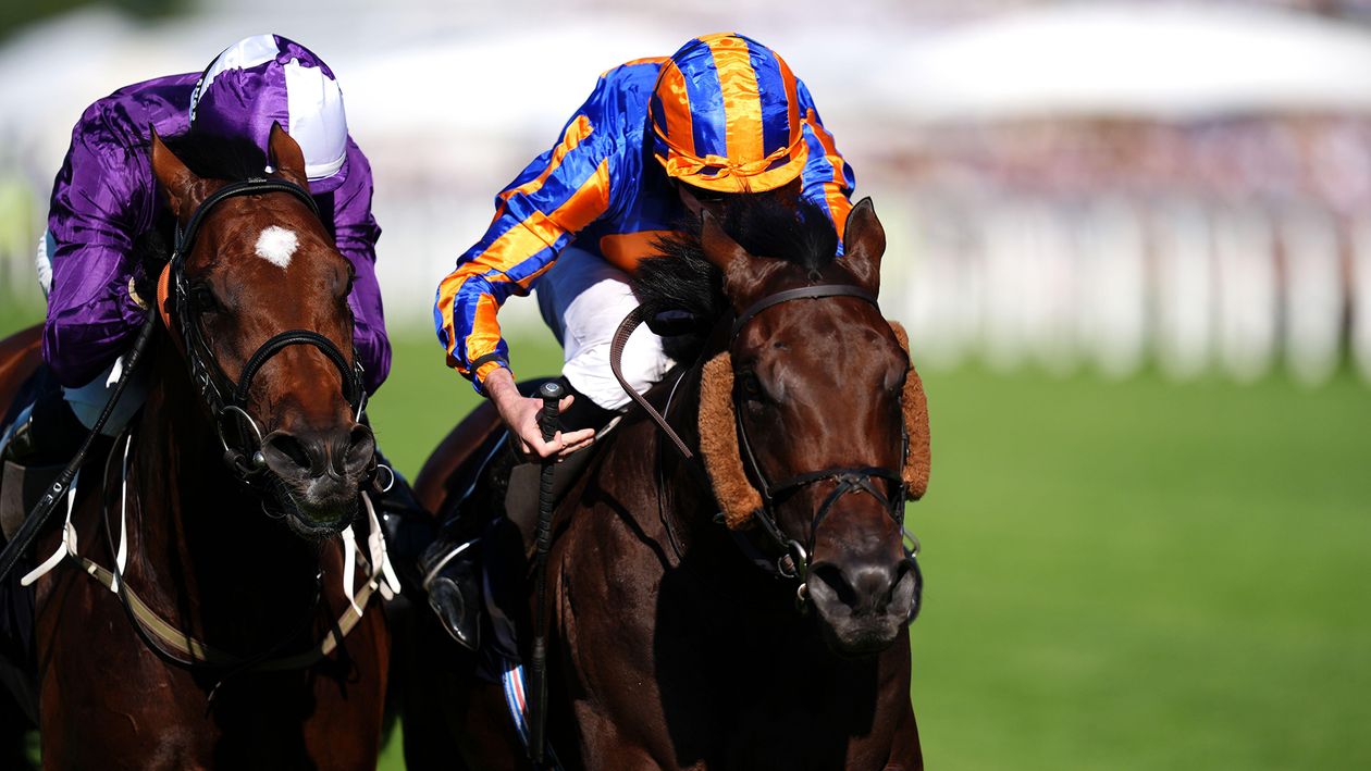 Charlie Johnston on Saratoga challenge for Ancient Egypt and Lazy Griff plans