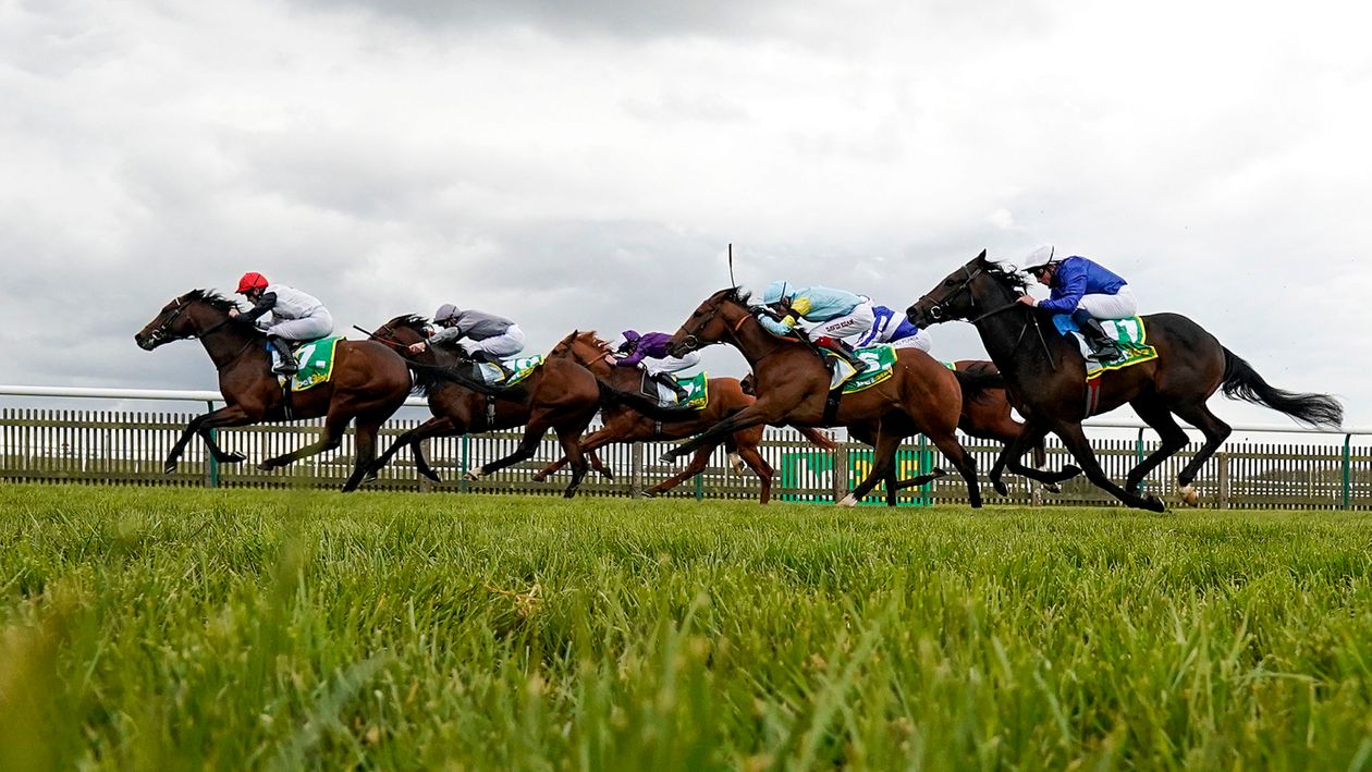 Peter The Great wins the Wood Ditton