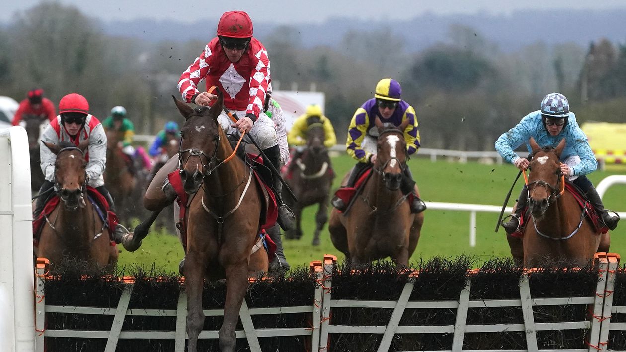 Cheltenham Festival preview Shishkin, Iroko and a dark horse in the