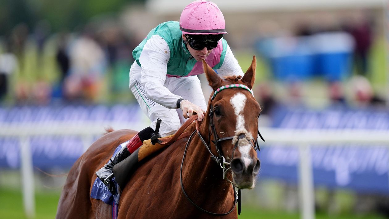 Item in line for Sky Bet York Stakes with Criterion Stakes possible next aim for Never So Brave