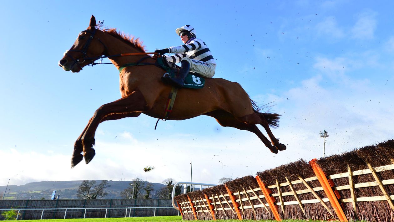 Denis O'Regan riding French Aseel