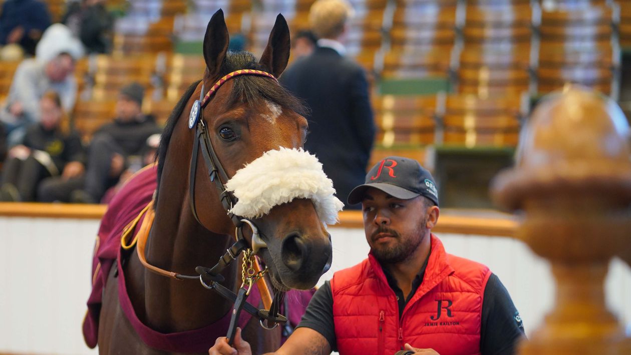 Tattersalls Horses In training Sales: Wathnan buy Gladius