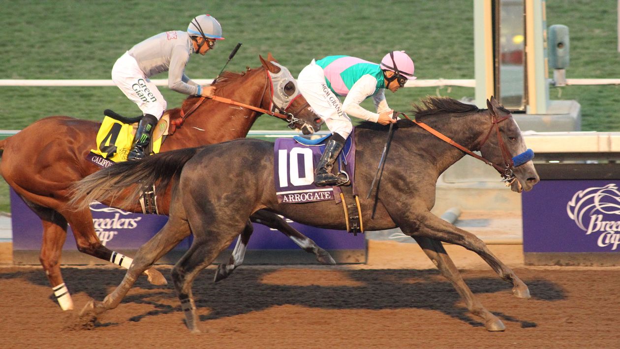 Arrogate posts a brilliant victory