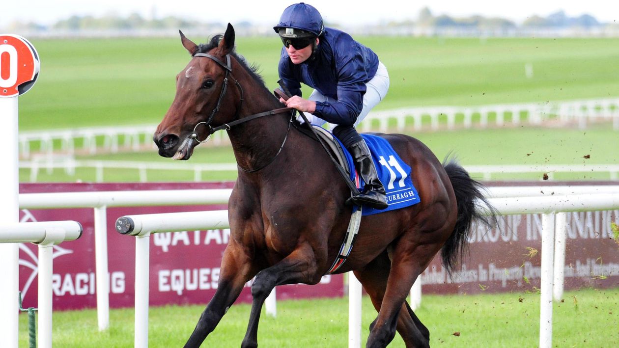 Santa Barbara wins Grade One Beverly D. Stakes at Arlington