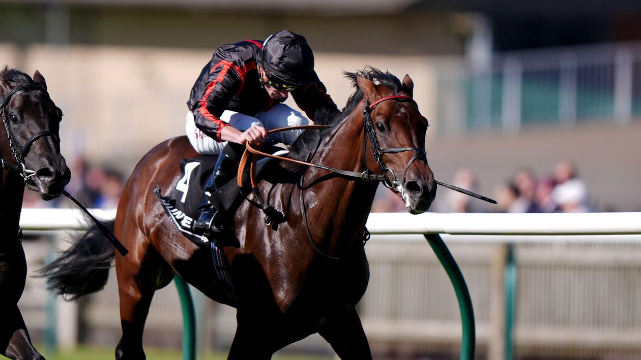 Maltese Cross to be trained for Prix de l'Arc de Triomphe and taken out of St Leger