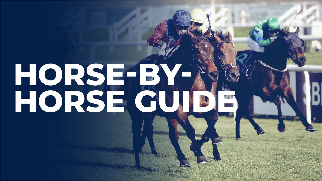 Horse by horse guide to Doncaster feature Saturday March 23