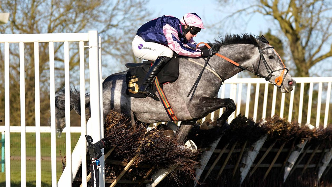 Sidney Banks Memorial Novices' Hurdle report, reaction and free video