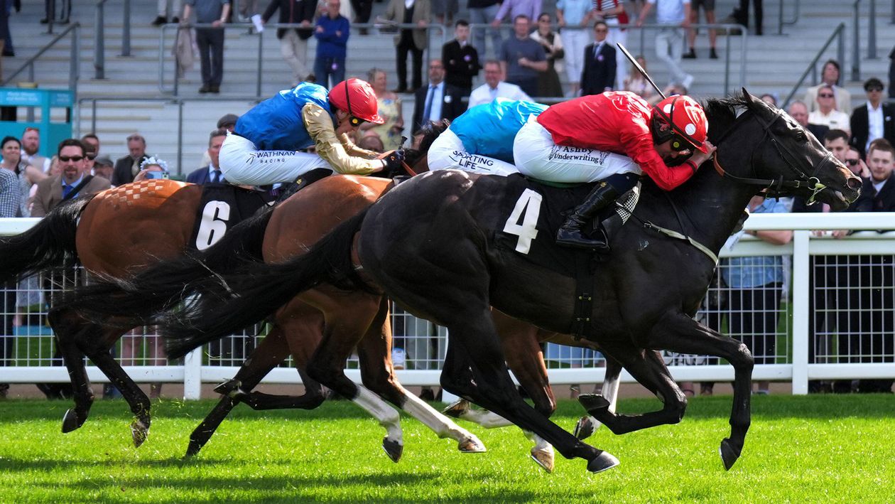 Coppull wins Hungerford Stakes: Report, reaction and free video replay
