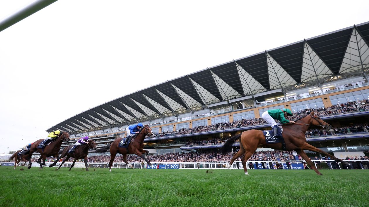 Ascot World Pool tips: Graham Cunningham's Champions Day preview