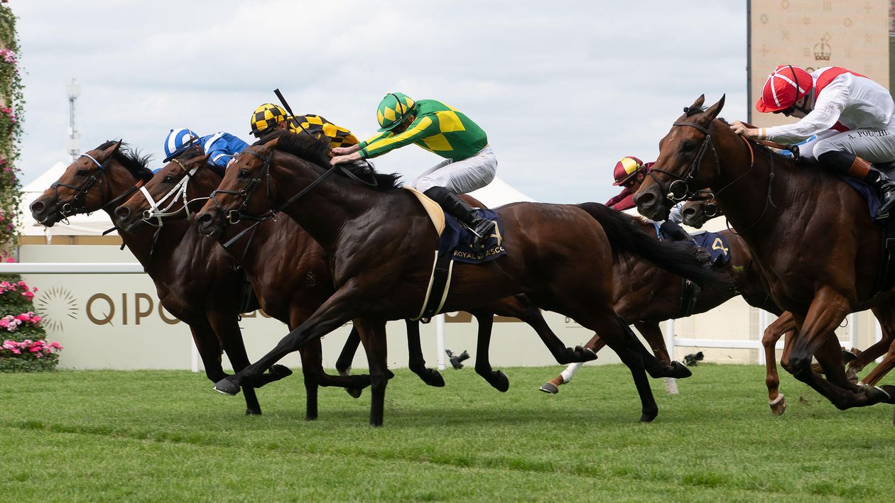July Cup analysis: Historical trends and tips for Newmarket