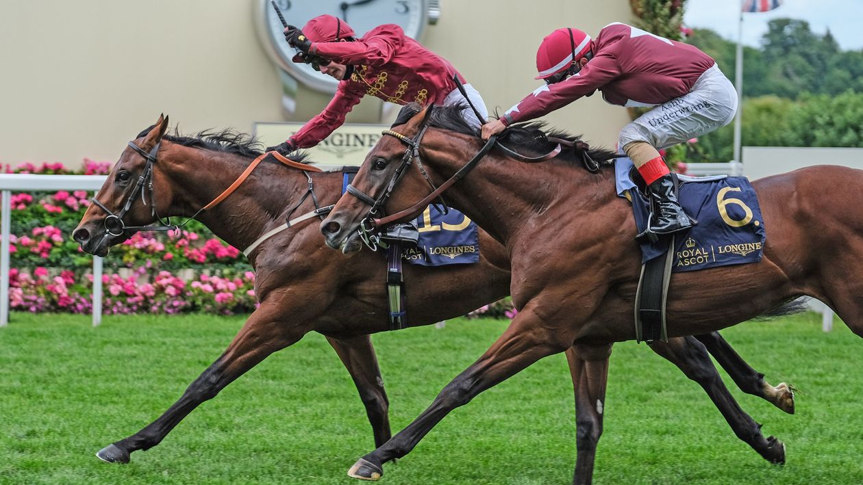 The Lir Jet - Royal Ascot-winning grandson of Kodiac