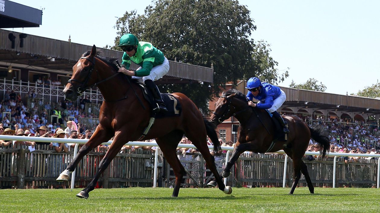 Newmarket Saturday reports, reaction, free video replays