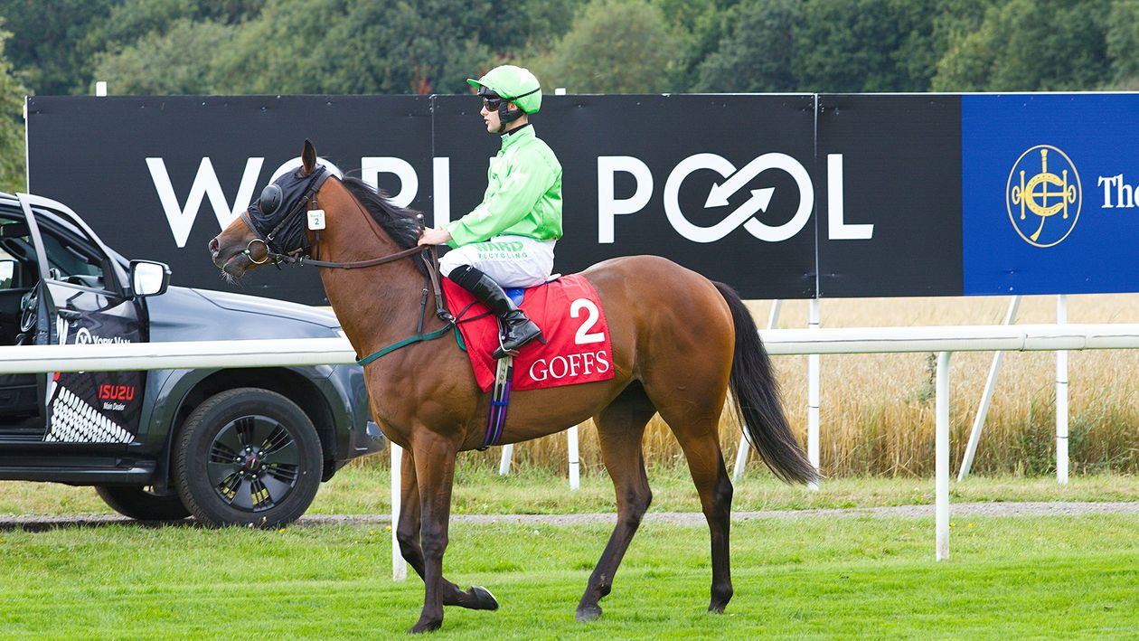 Epsom tips: World Pool Oaks day preview