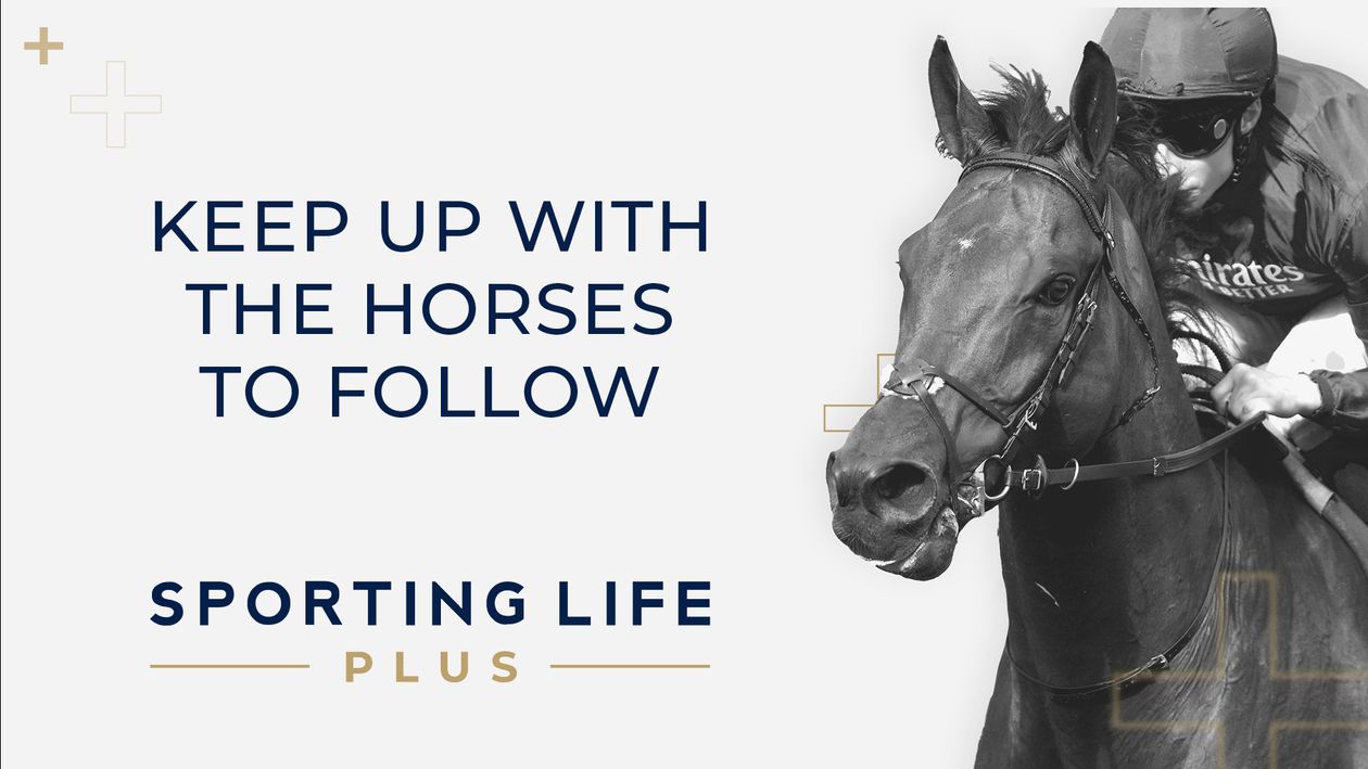 Sporting Life Fast York preview: Dan Briden on the two-year-old races