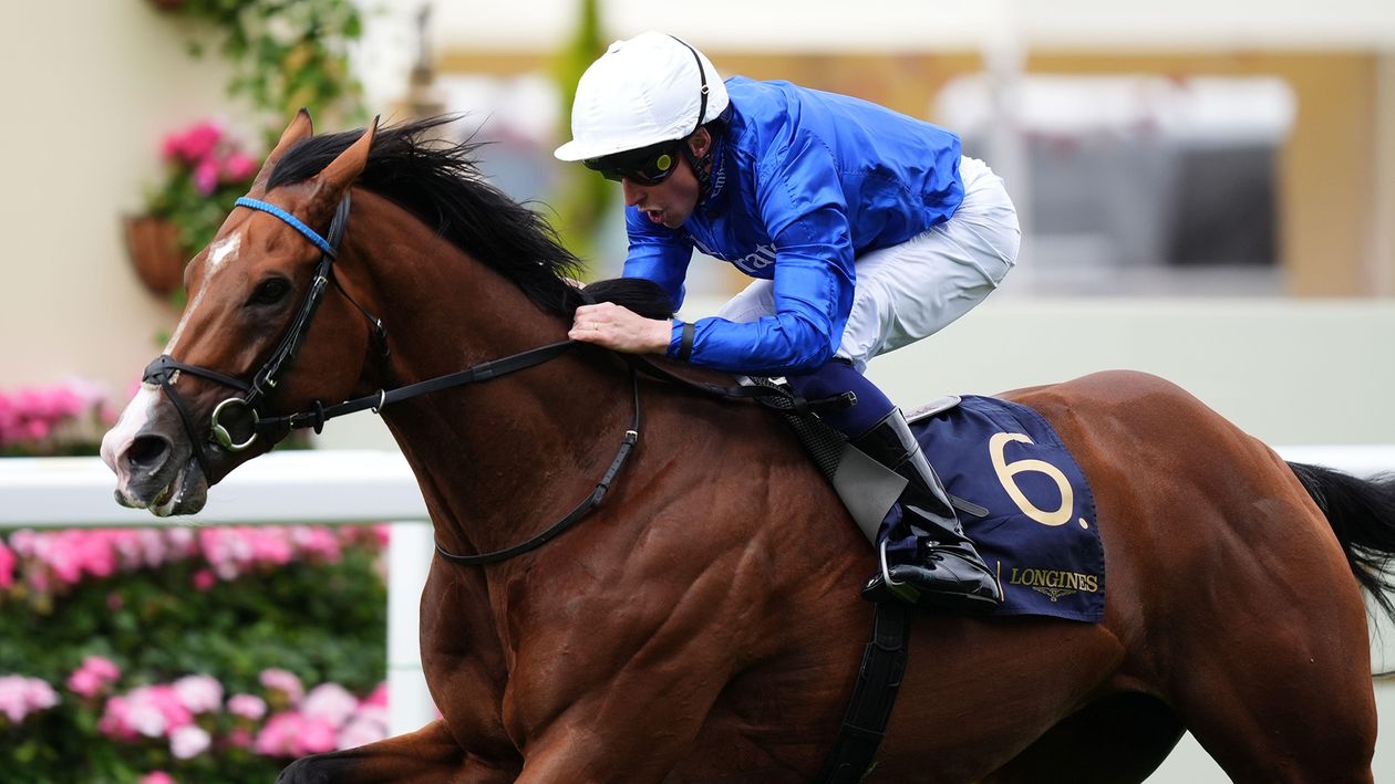 Juddmonte International preview: John Gosden warns it isn't a match
