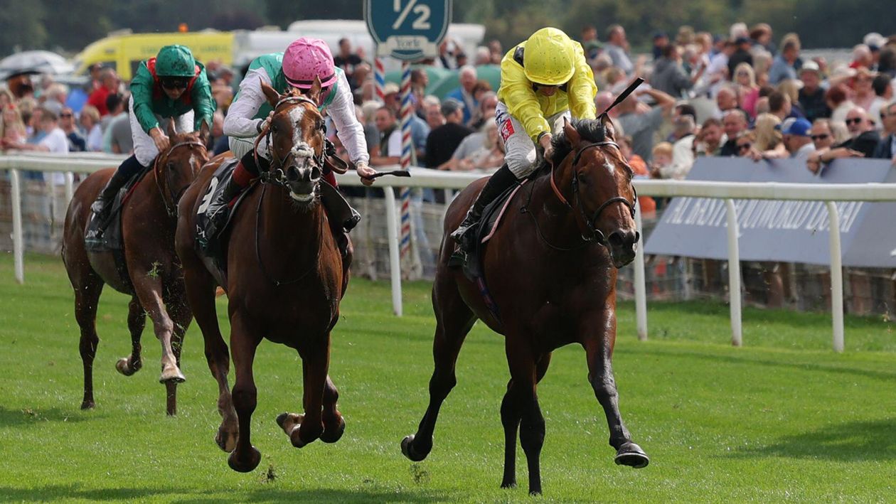 Item won the Juddmonte International Stakes at York | report, reaction and replay