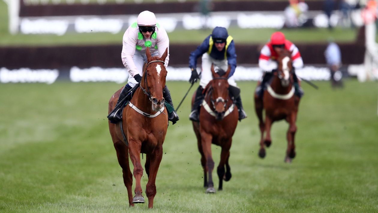 Donn McClean on the British and Irish jumps scene ahead of the 2021 Punchestown Festival - Vimarsana News
