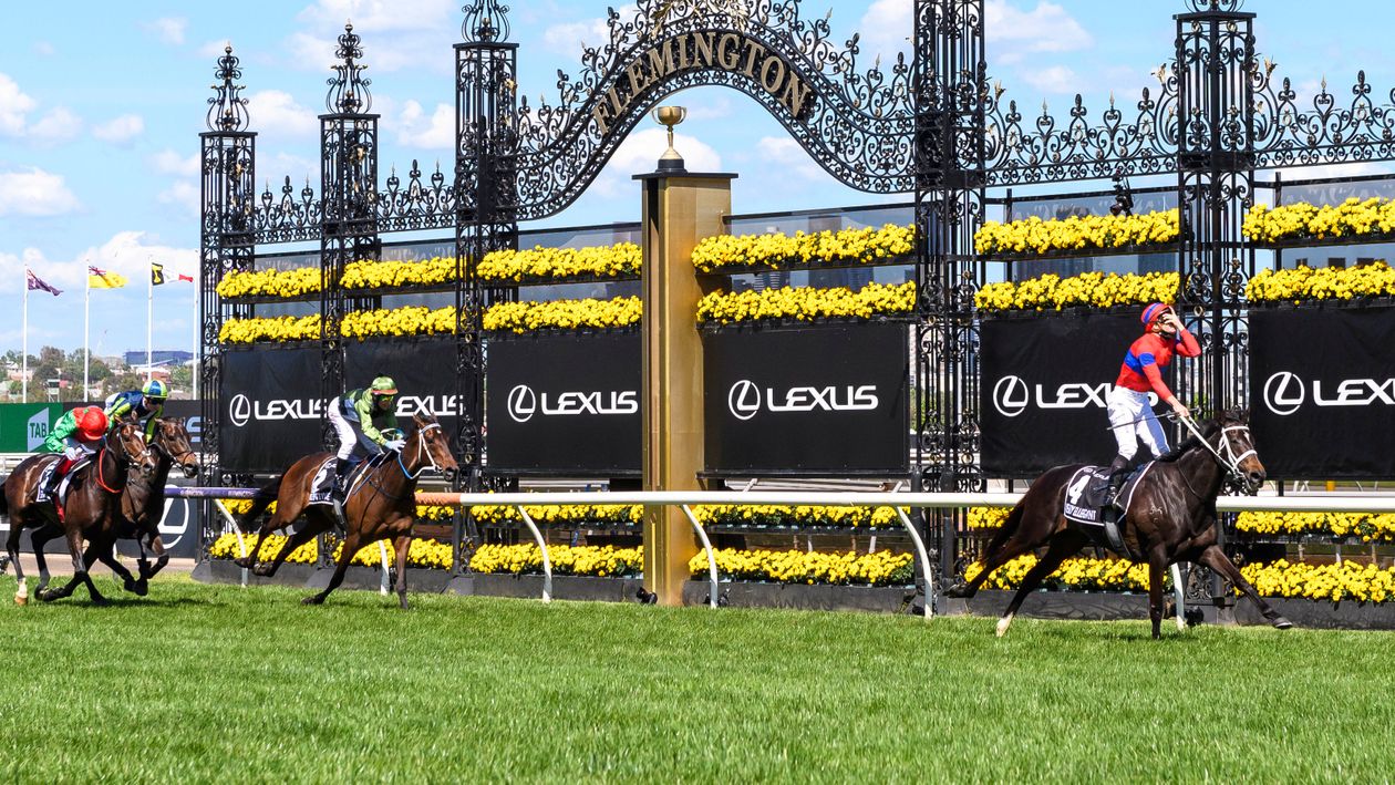 Lexus Melbourne Cup report and reaction: Verry Elleegant wins under James McDonald - Vimarsana News