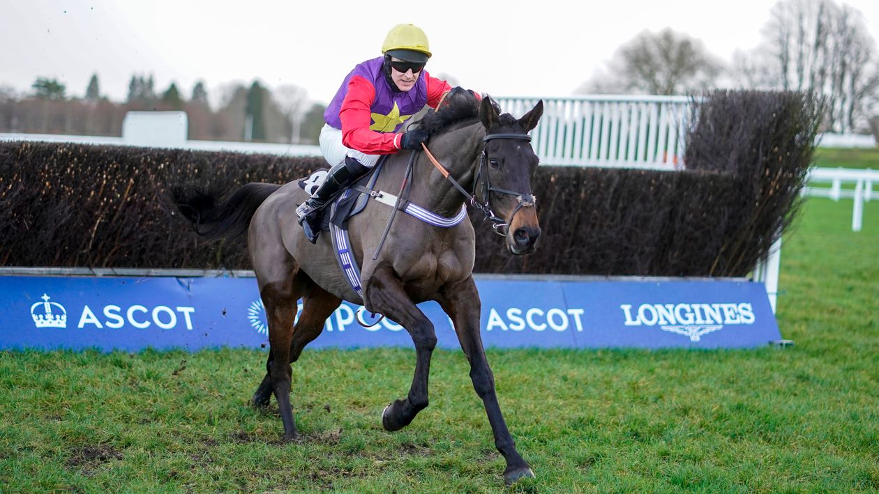 Dashel Drasher wins at Ascot