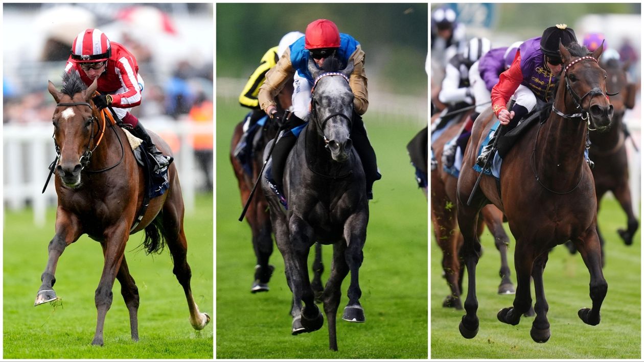 Constitution Hill latest: September Stakes rivals assessed, who are the biggest dangers?
