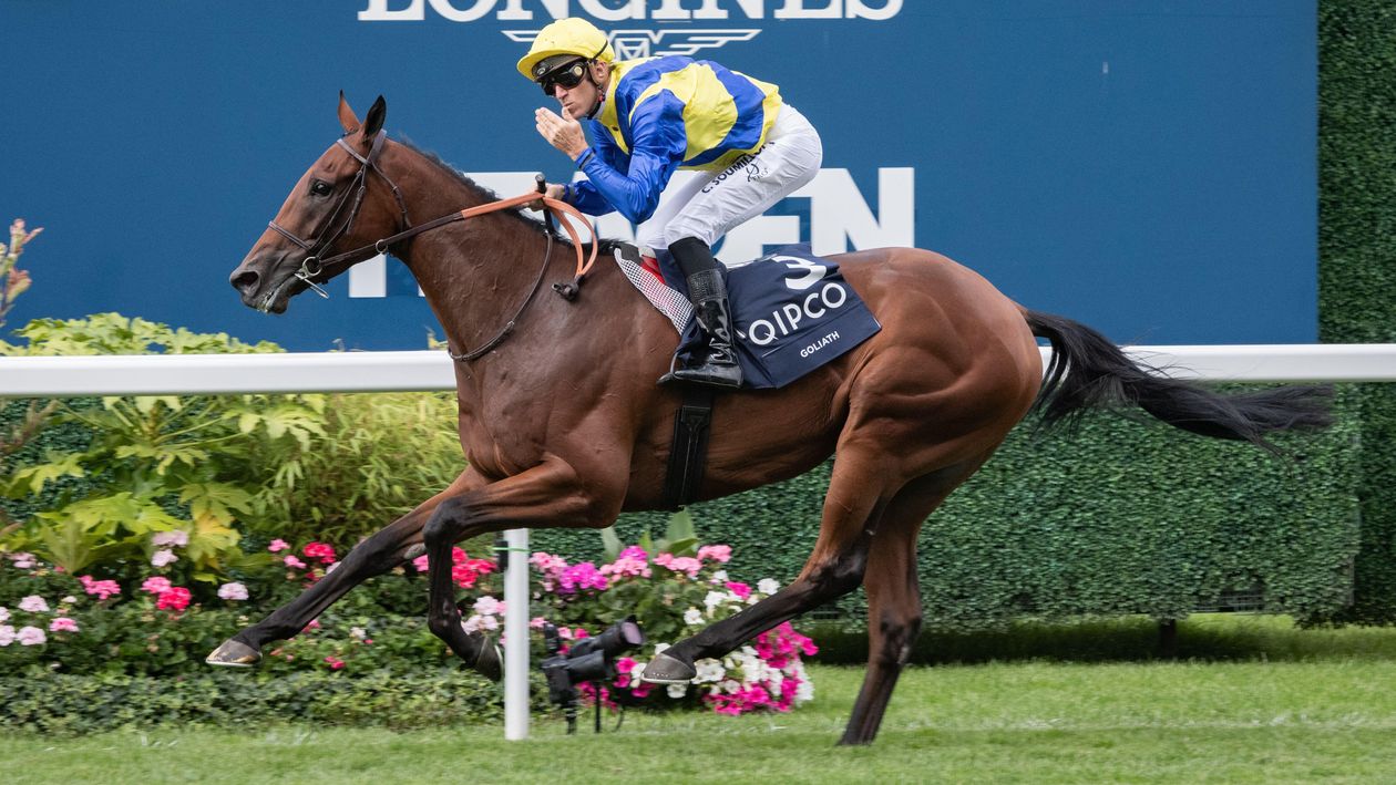 Royal Ascot 2026 World Pool tips