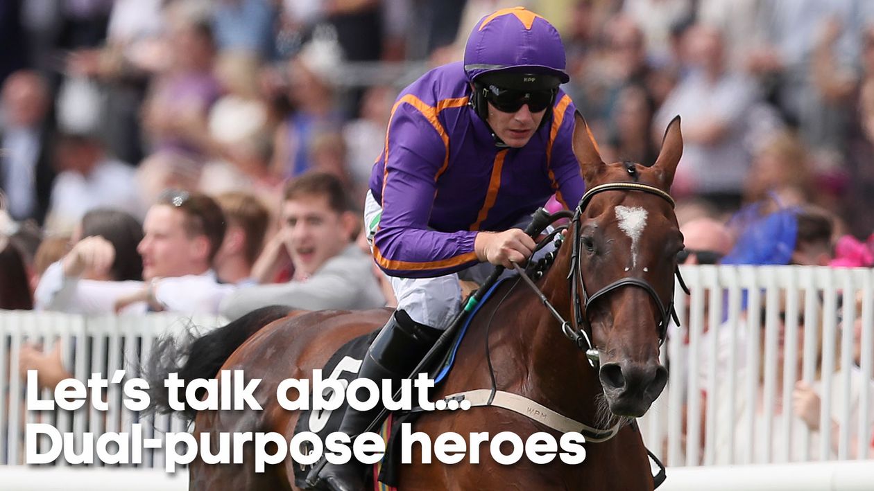 Of Horses And Heroes: A Racing Tribute Par Brough Scott